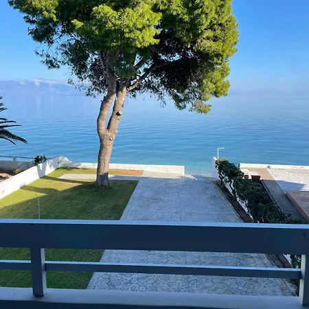 Joy Seaside 西洛卡特伦